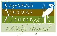 Sawgrass Nature Center and Wildlife Hospital